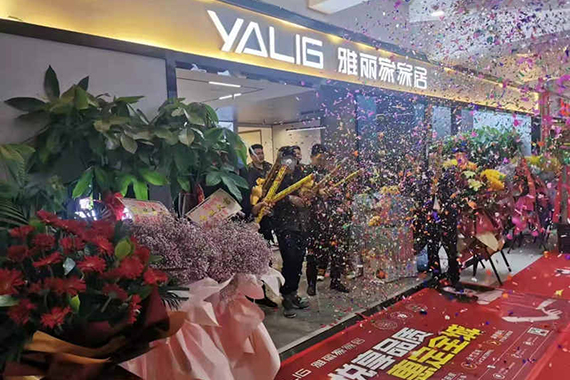 雅丽家家居合肥青阳路美家居店盛装开业